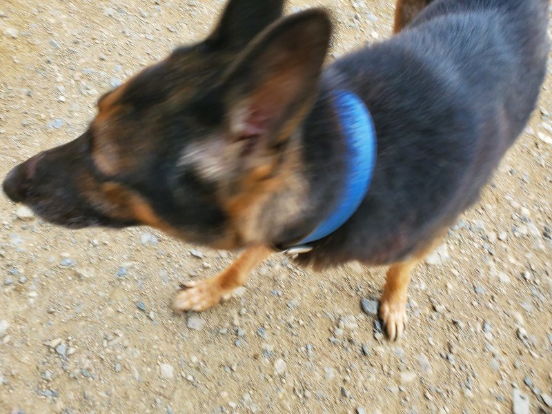 f:id:roukenhome-ann:20190930120354j:plain