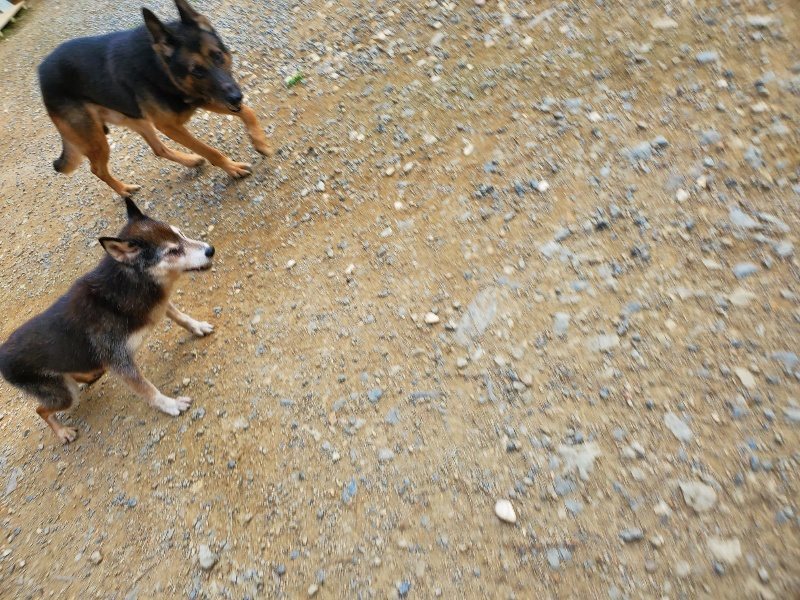 f:id:roukenhome-ann:20190930120406j:plain