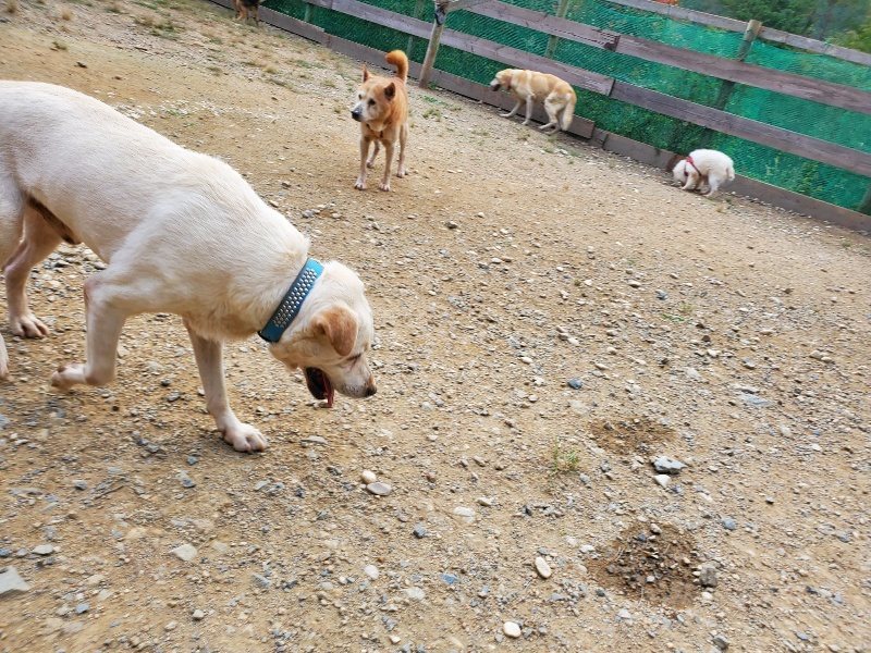 f:id:roukenhome-ann:20190930120425j:plain