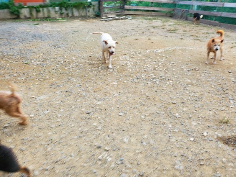 f:id:roukenhome-ann:20190930120431j:plain