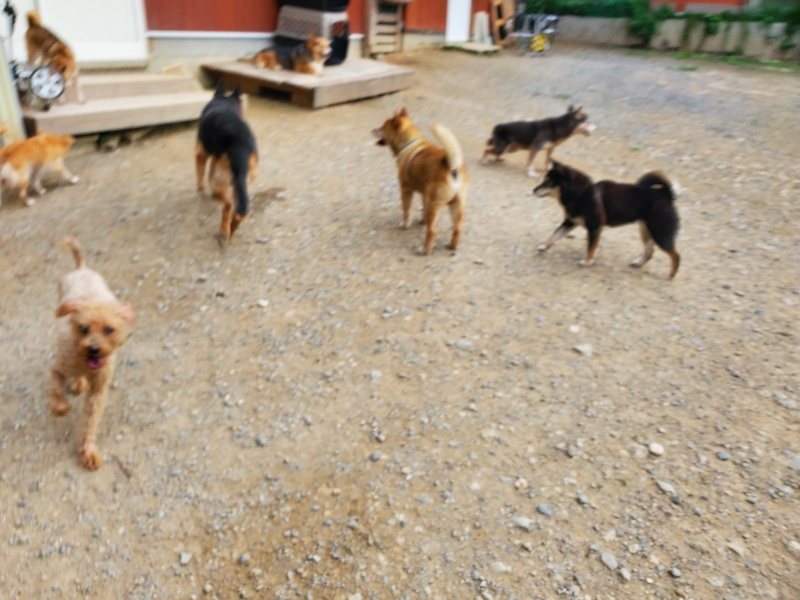 f:id:roukenhome-ann:20190930120451j:plain