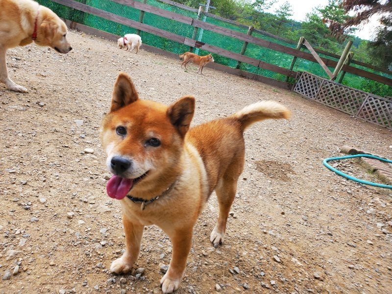 f:id:roukenhome-ann:20190930120522j:plain