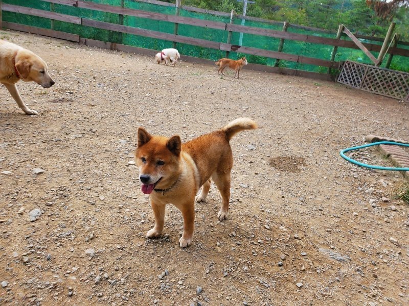 f:id:roukenhome-ann:20190930120527j:plain