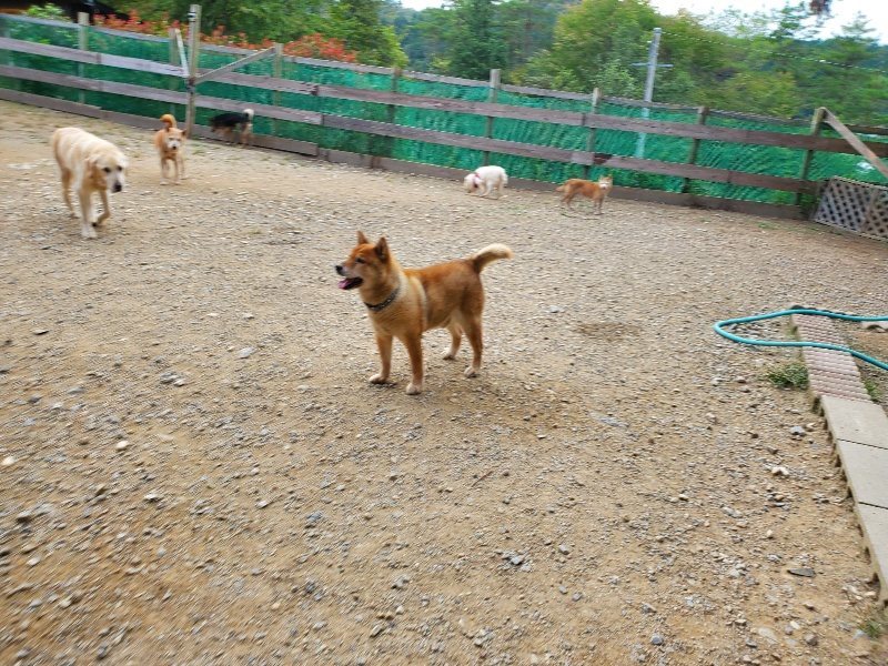 f:id:roukenhome-ann:20190930120538j:plain