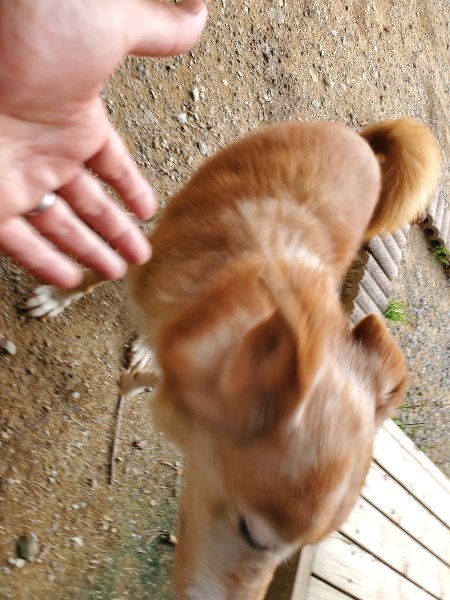 f:id:roukenhome-ann:20190930121051j:plain