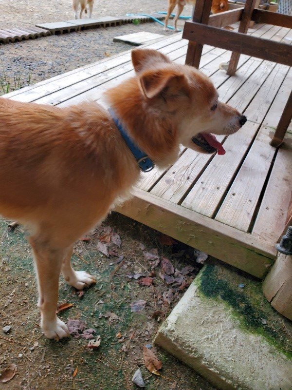 f:id:roukenhome-ann:20190930121107j:plain