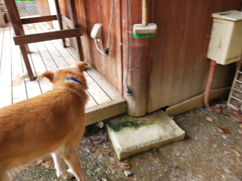 f:id:roukenhome-ann:20190930121117j:plain