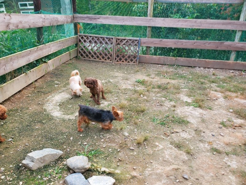 f:id:roukenhome-ann:20190930121244j:plain