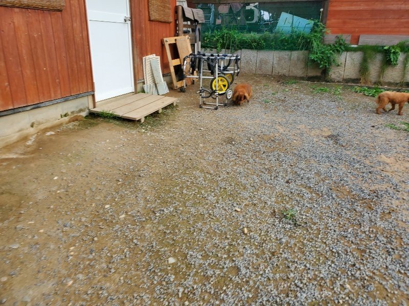 f:id:roukenhome-ann:20190930121308j:plain