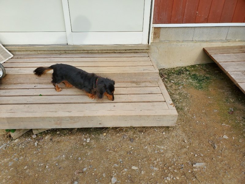 f:id:roukenhome-ann:20190930121325j:plain