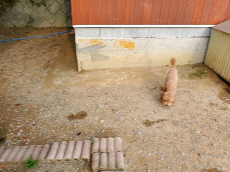 f:id:roukenhome-ann:20190930121335j:plain