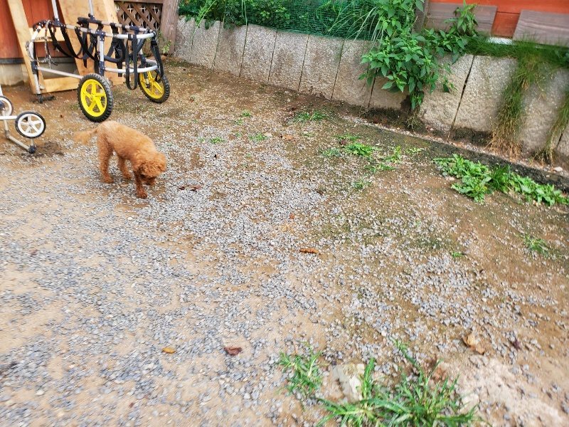 f:id:roukenhome-ann:20190930121628j:plain