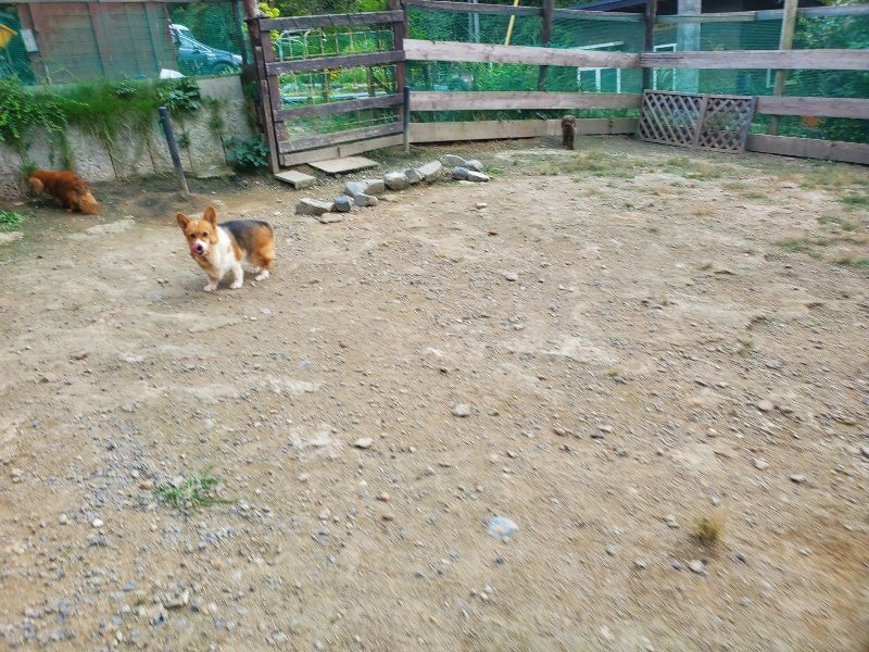 f:id:roukenhome-ann:20190930121634j:plain