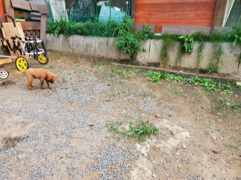 f:id:roukenhome-ann:20190930121640j:plain