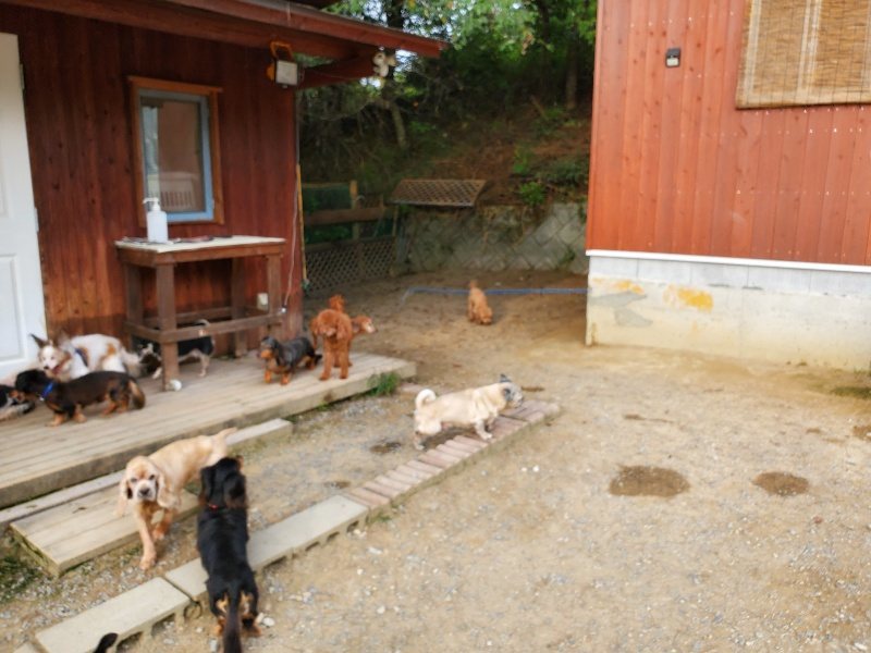 f:id:roukenhome-ann:20190930121656j:plain