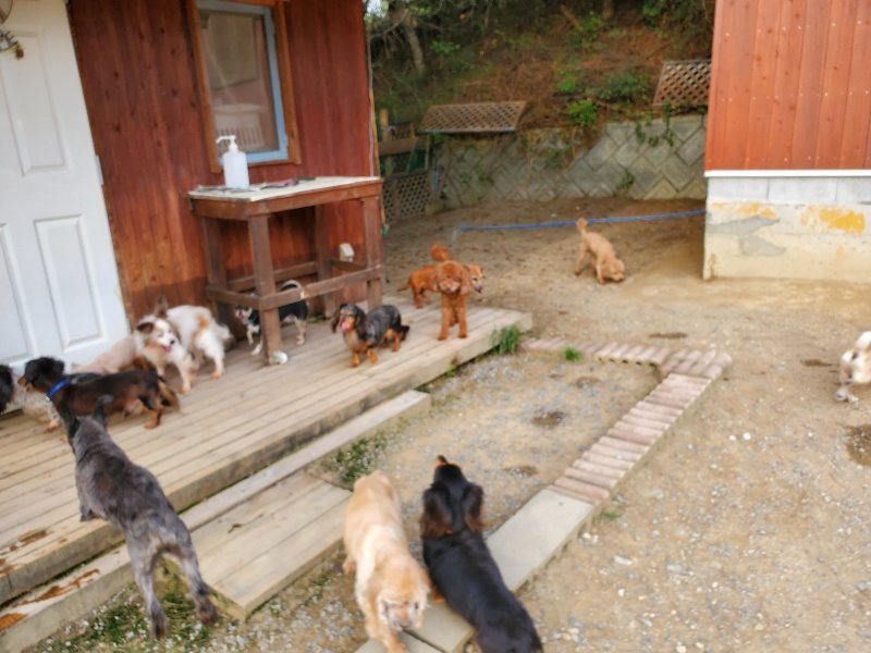 f:id:roukenhome-ann:20190930121701j:plain