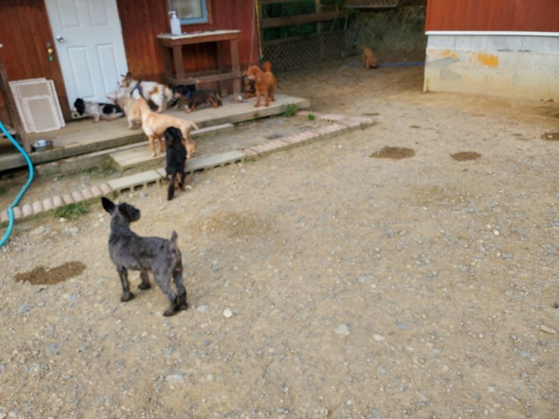 f:id:roukenhome-ann:20190930121707j:plain
