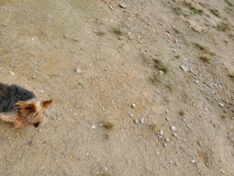 f:id:roukenhome-ann:20190930121722j:plain