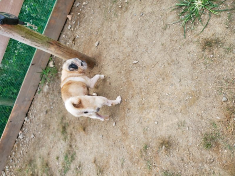 f:id:roukenhome-ann:20190930121726j:plain