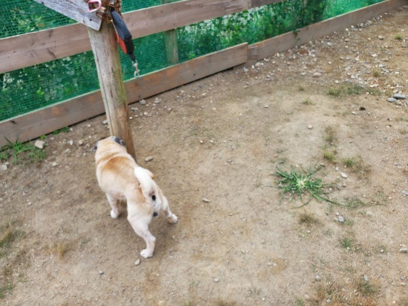 f:id:roukenhome-ann:20190930121739j:plain