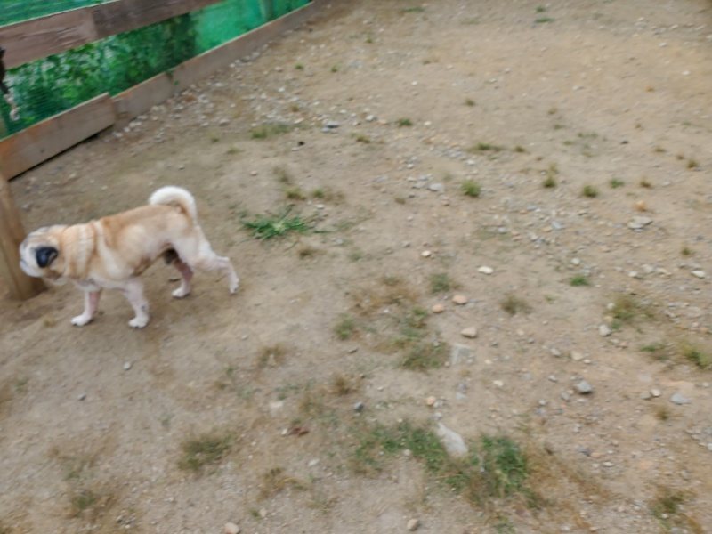 f:id:roukenhome-ann:20190930121744j:plain