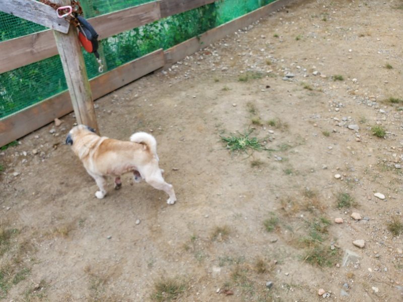 f:id:roukenhome-ann:20190930121749j:plain