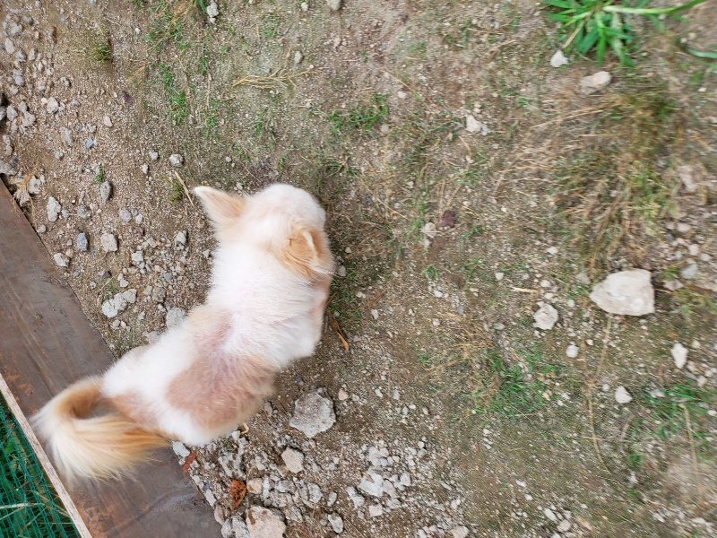 f:id:roukenhome-ann:20190930121818j:plain