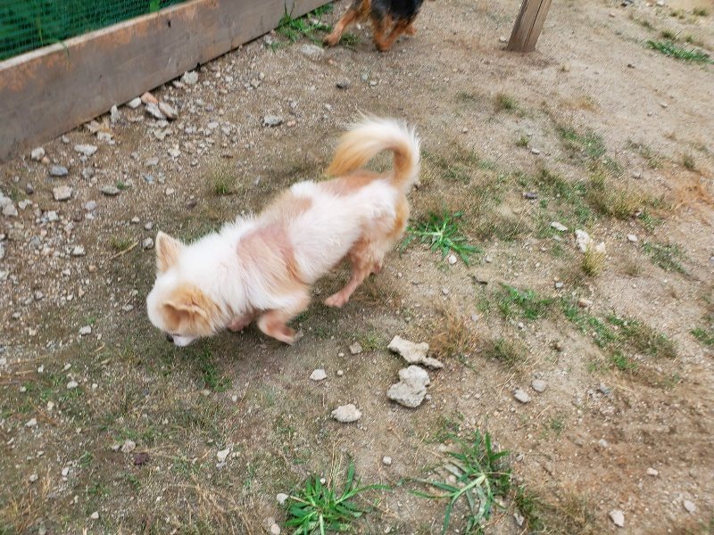 f:id:roukenhome-ann:20190930121824j:plain