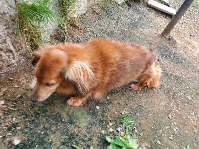 f:id:roukenhome-ann:20190930121936j:plain