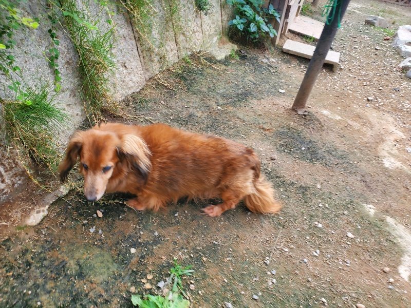 f:id:roukenhome-ann:20190930121942j:plain