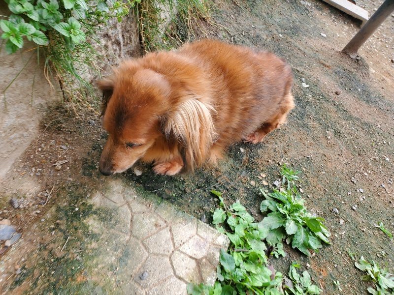 f:id:roukenhome-ann:20190930121949j:plain