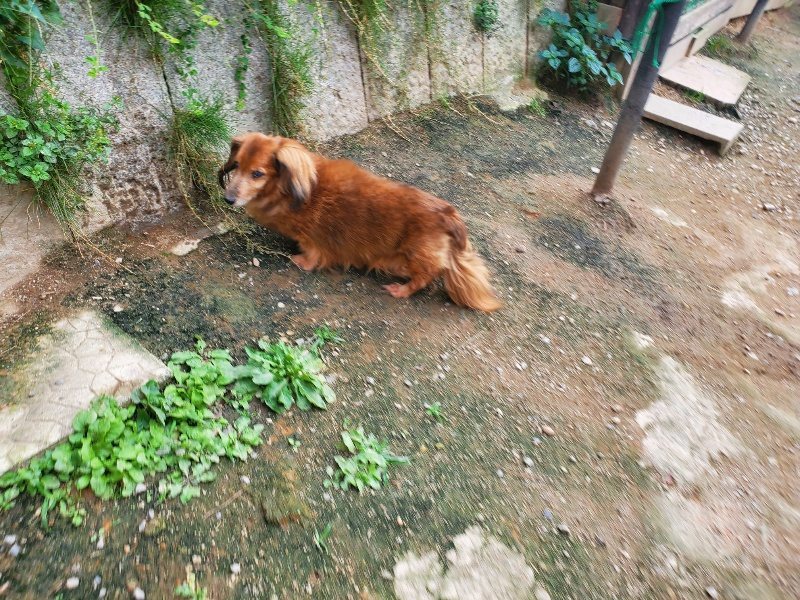 f:id:roukenhome-ann:20190930121955j:plain