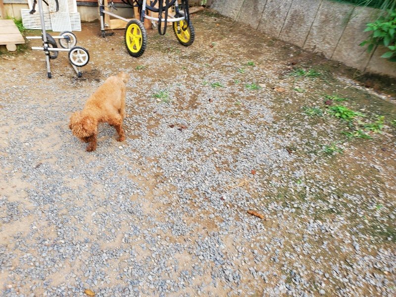 f:id:roukenhome-ann:20190930122002j:plain