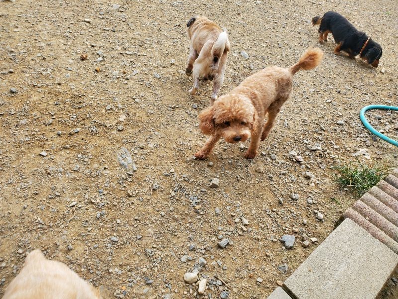 f:id:roukenhome-ann:20190930122318j:plain