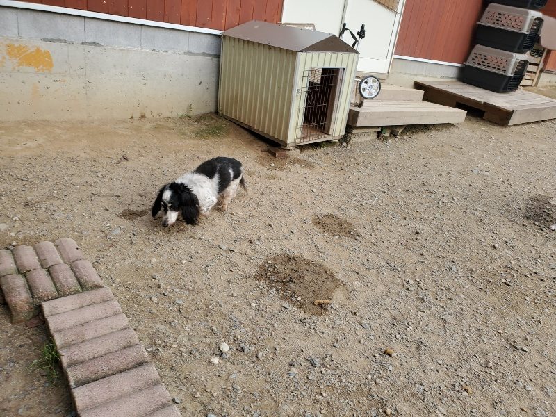 f:id:roukenhome-ann:20190930122331j:plain