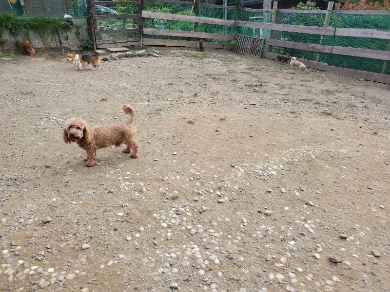 f:id:roukenhome-ann:20190930122345j:plain