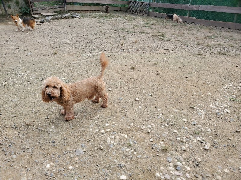 f:id:roukenhome-ann:20190930122351j:plain