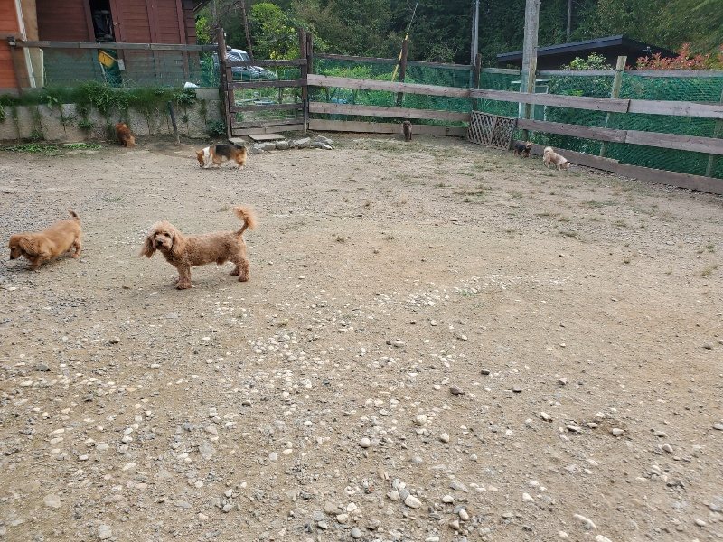 f:id:roukenhome-ann:20190930122357j:plain