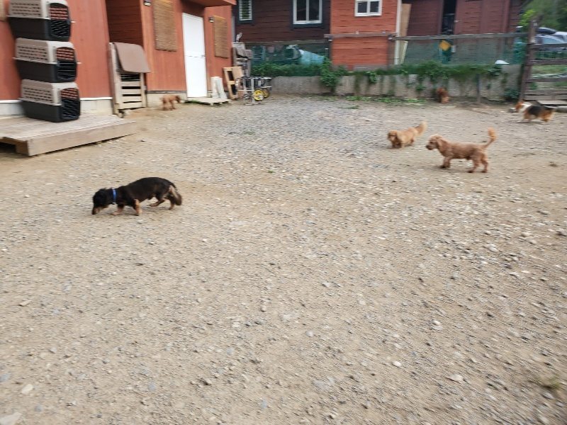 f:id:roukenhome-ann:20190930122404j:plain