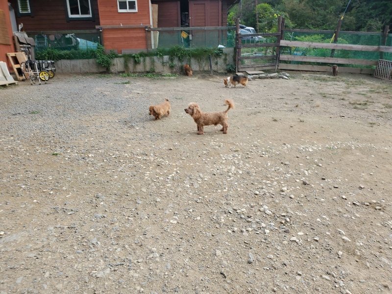 f:id:roukenhome-ann:20190930122410j:plain