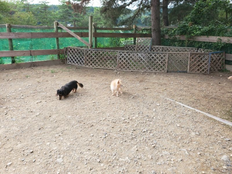 f:id:roukenhome-ann:20190930122428j:plain