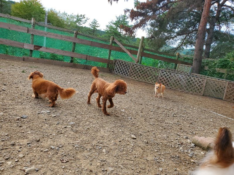 f:id:roukenhome-ann:20190930122433j:plain