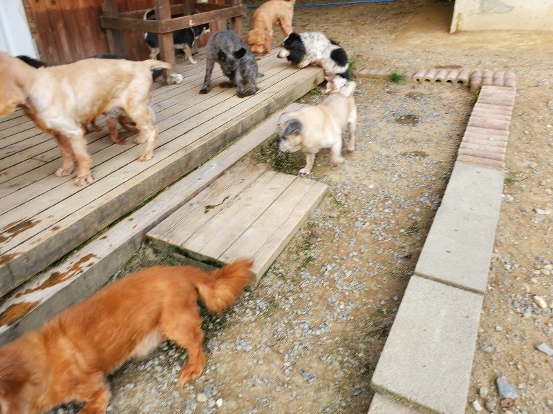 f:id:roukenhome-ann:20190930122551j:plain