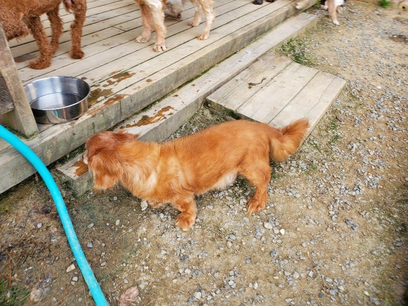 f:id:roukenhome-ann:20190930122619j:plain