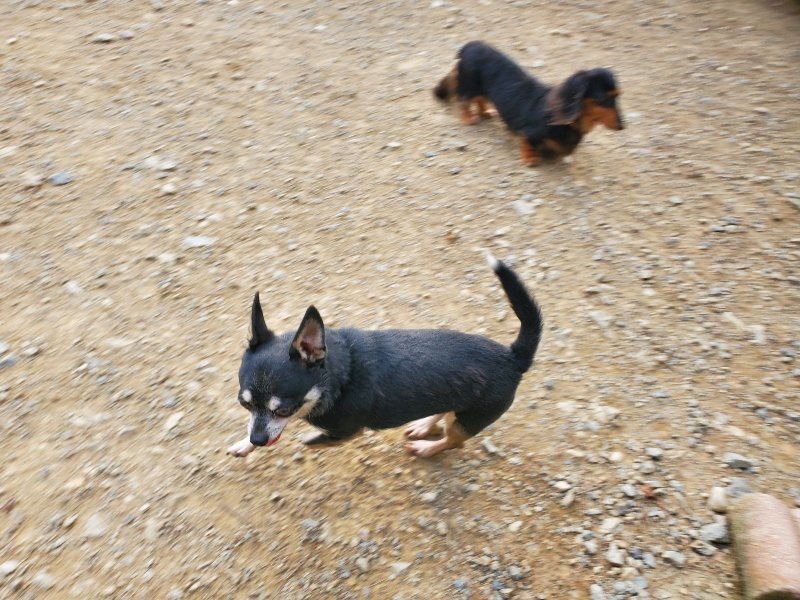 f:id:roukenhome-ann:20190930122659j:plain