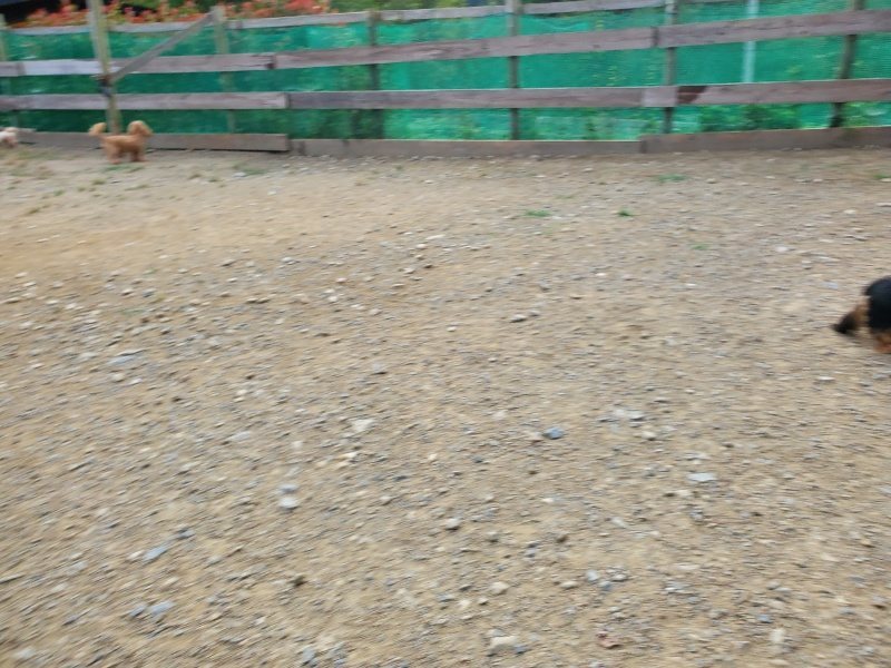f:id:roukenhome-ann:20190930122706j:plain