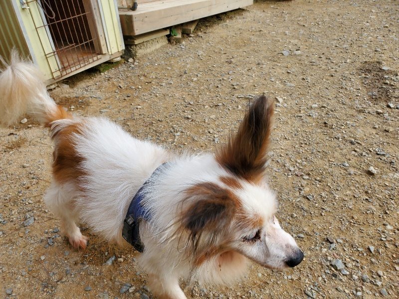 f:id:roukenhome-ann:20190930122816j:plain