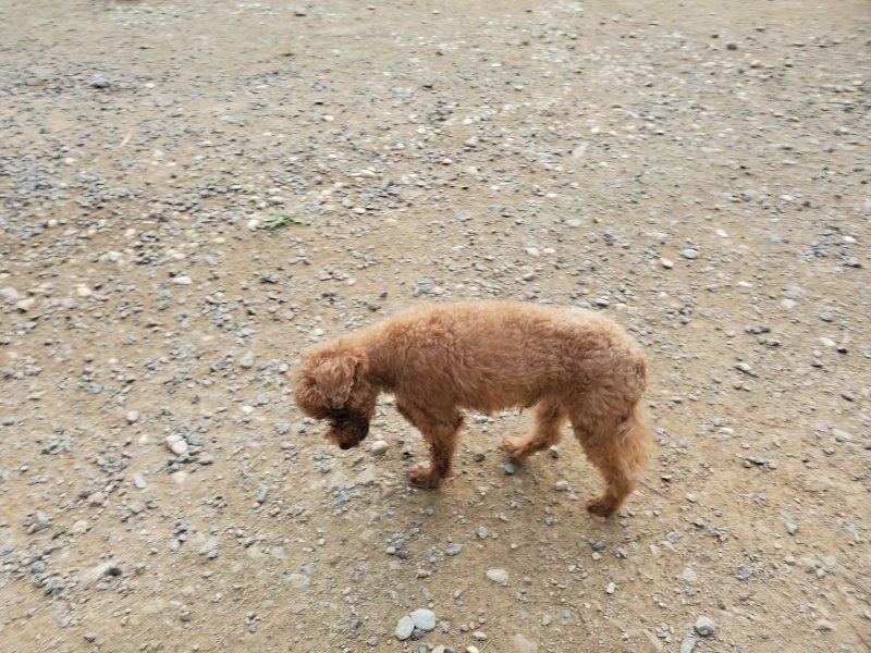 f:id:roukenhome-ann:20190930123234j:plain