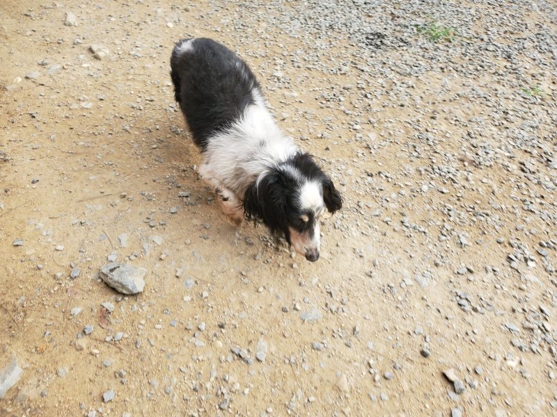 f:id:roukenhome-ann:20190930123252j:plain
