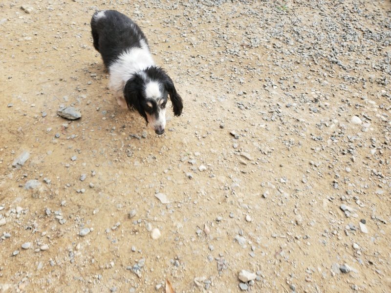 f:id:roukenhome-ann:20190930123316j:plain